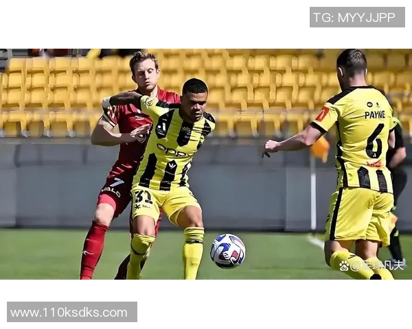 惠灵顿凤凰队与布里斯班狮吼队的精彩对决即将上演